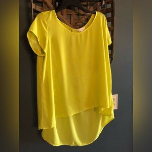 Oversized dress blouse